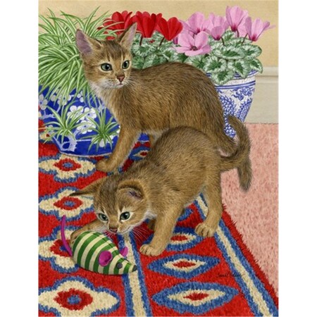 Carolines Treasures Abyssinian Kitten Flag Canvas House Size ASA2164CHF